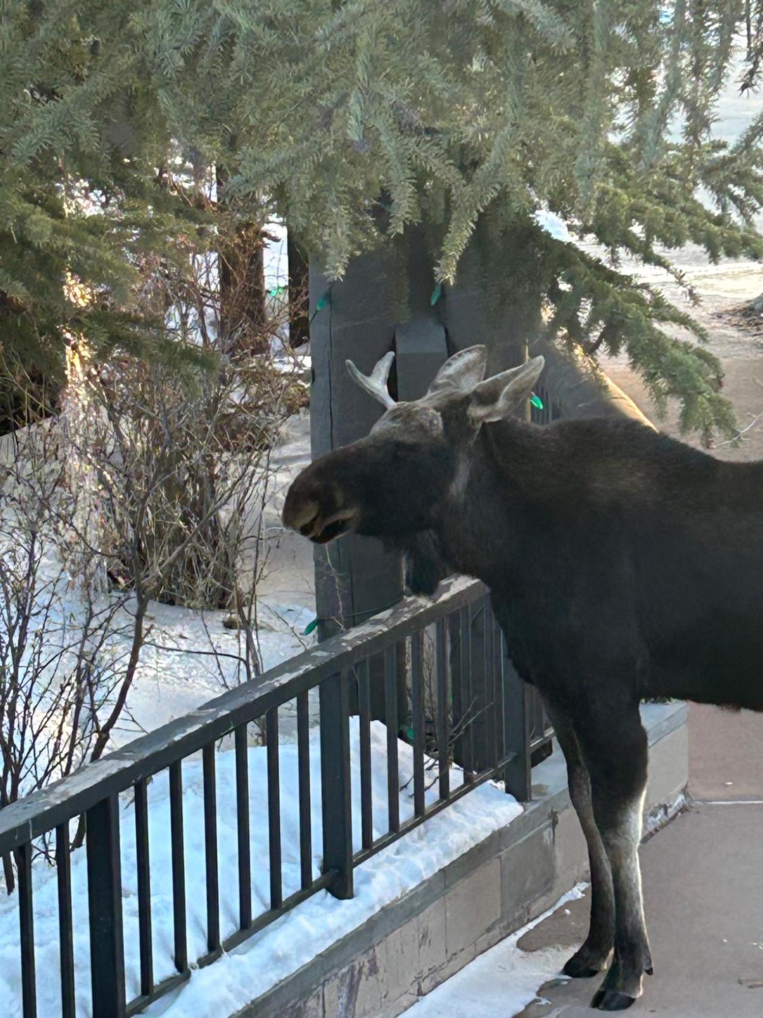 Trappers Crossing 8753 By Summitcove Lodging Keystone Extérieur photo